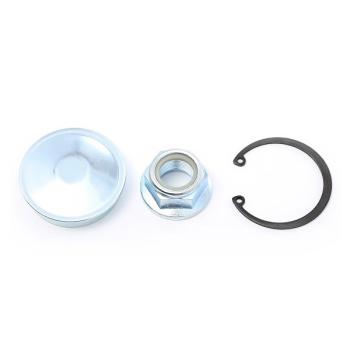 Radlagersatz hinten (26102), Renault u.A. ...